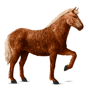 ridehest svart fuks