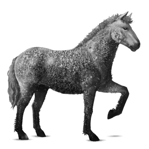 ridehest curlyhest epleskimmel