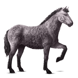 ridehest akhal-teke musegrå
