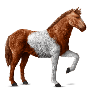 ridehest mustang skimlet
