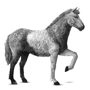 ridehest curlyhest fuks