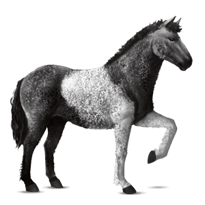 ridehest tobiano svart flekket