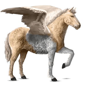 ridepegasus curlyhest palomino