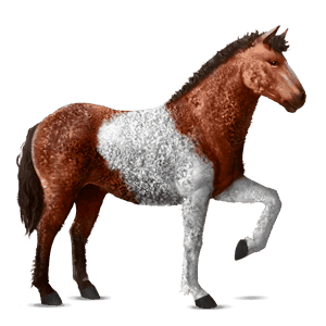 ridehest epleskimmel