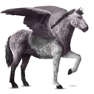 ridepegasus curlyhest musegrå tobiano
