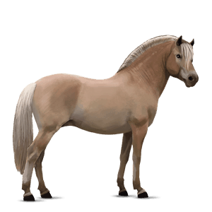 ponni haflinger linfarget fuks