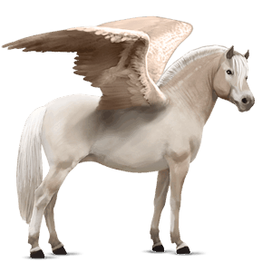 pegasus-ponni fjording brunblakk