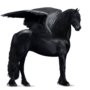 ridepegasus frieserhest svart