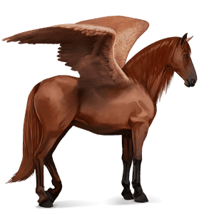 ridepegasus berberhest fuks