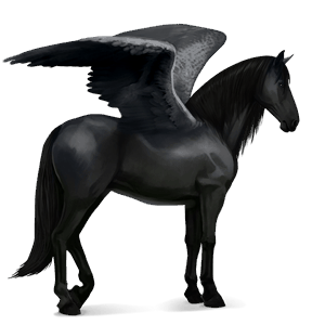 ridepegasus lipizzaner svart