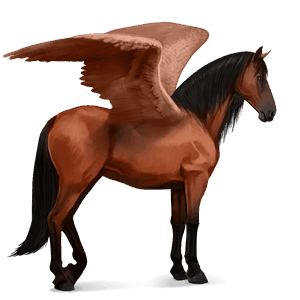 ridepegasus spansk renraset hest svart