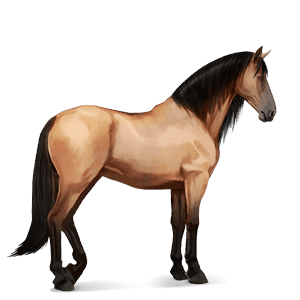 ridehest mustang svart fuks