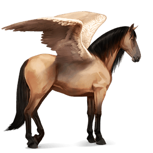 ridepegasus blakk