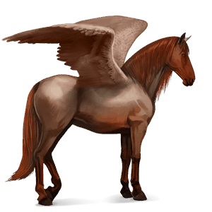 ridepegasus mørkebrun overo