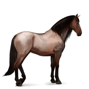 ridehest misakiponni brun