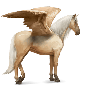 ridepegasus spansk renraset hest epleskimmel