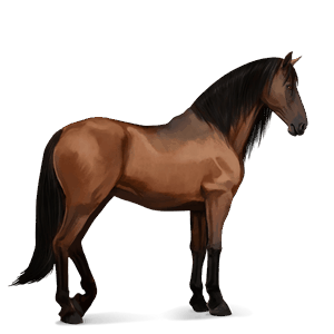 ridehest brun