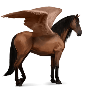 ridepegasus spansk renraset hest brun