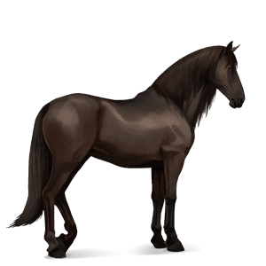 ridehest islandshest leverfuks