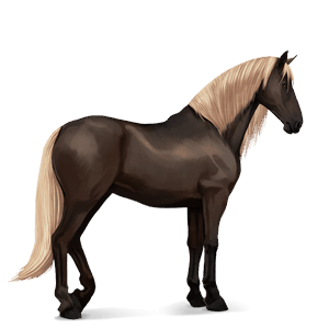 ridehest quarter horse brun