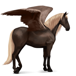 ridepegasus shagya araber lys grå