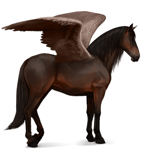 ridepegasus quarter horse leverfuks
