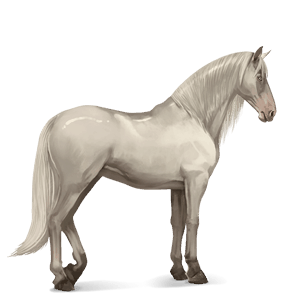 ridehest nokotahest svart