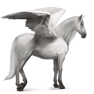 ridepegasus spansk renraset hest lys grå