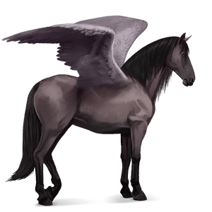 ridepegasus spansk renraset hest musegrå