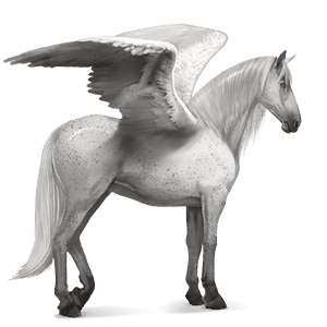 ridepegasus lipizzaner flueskimmel grå