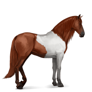 ridehest akhal-teke rødbrun