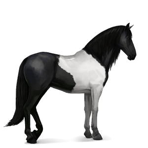ridehest frieserhest svart