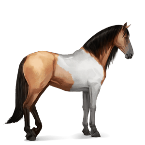 ridehest tinker svart
