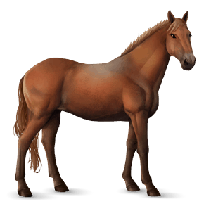 ridehest mustang fuks