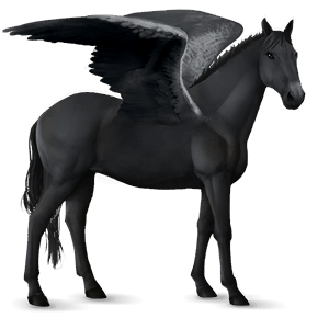 ridepegasus lipizzaner epleskimmel