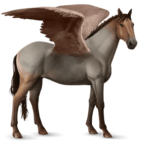 ridepegasus tennessee walker fuks