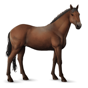 ridehest mustang fuks