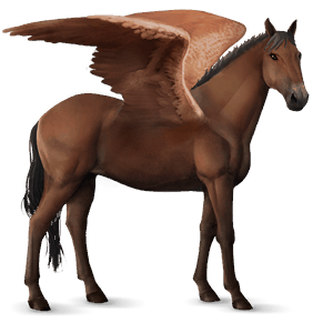 ridepegasus mustang isabelle med flekkete teppe