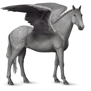 ridepegasus american paint horse mørkebrun tobiano
