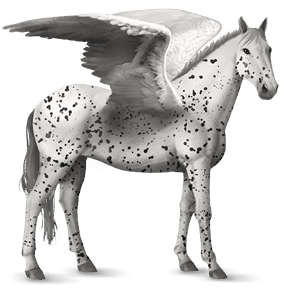 ridepegasus lipizzaner brun