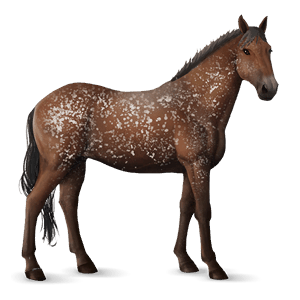 ridehest mustang linfarget leverfuks