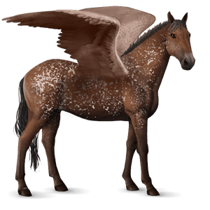 ridepegasus knabstruper brun leopard