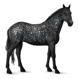 ridehest camargue lys grå
