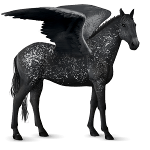 ridepegasus knabstruper brun leopard