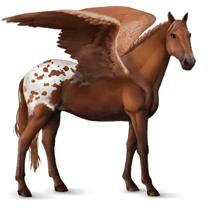 ridepegasus knabstruper rødbrun leopard