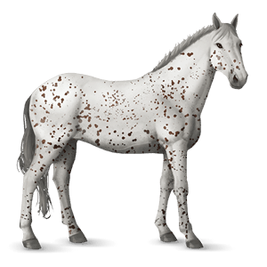 ridehest brun