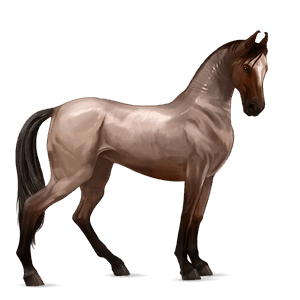 ridehest tennessee walker skimlet