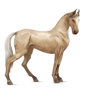 ridehest quarter horse cremello