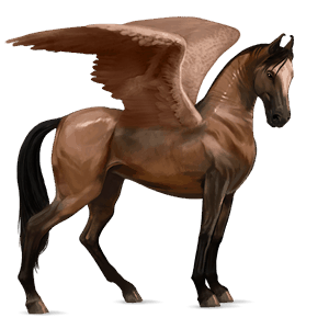 ridepegasus quarter horse brun