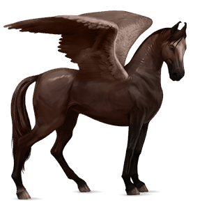 ridepegasus marwari leverfuks